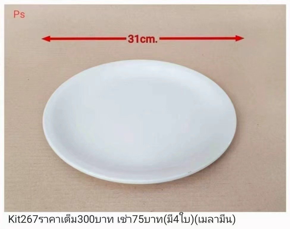 白色椭圆形盘子