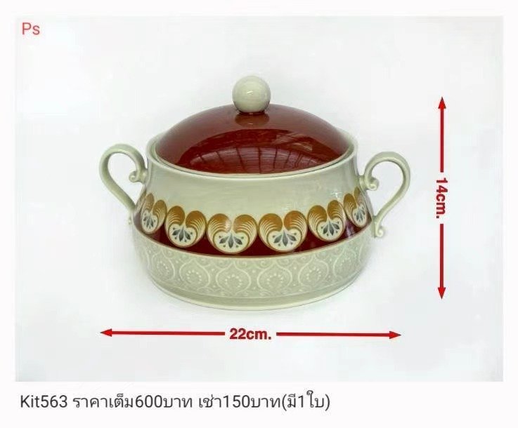 带盖陶瓷炖锅