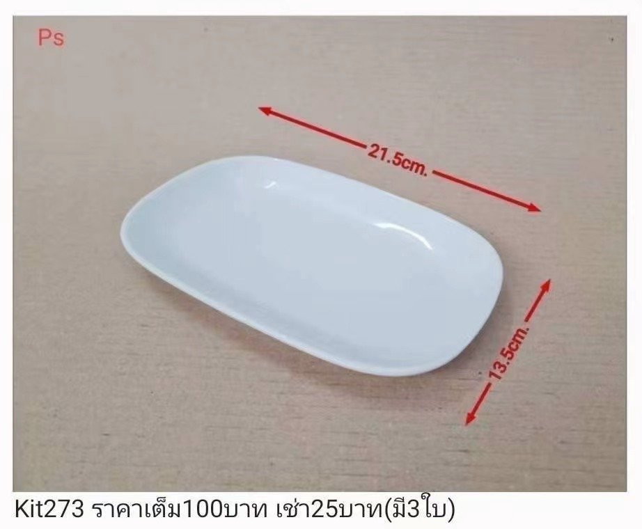 长方形塑料盘