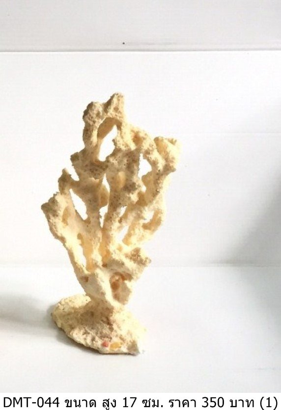珊瑚礁