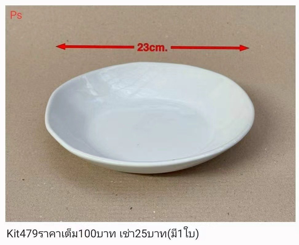 白色塑料盘