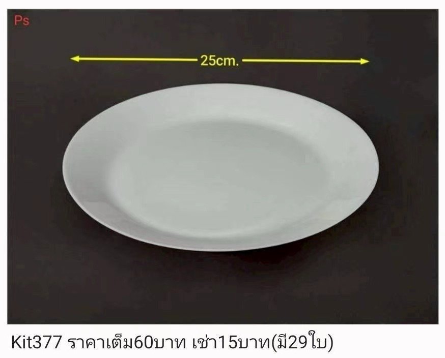白色椭圆形盘子