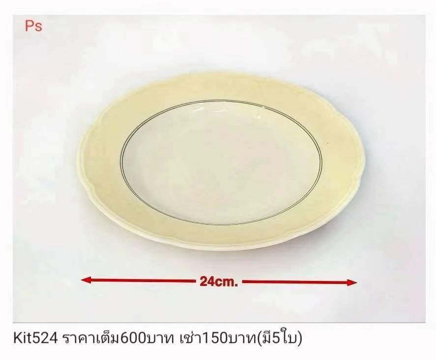 塑料盘子