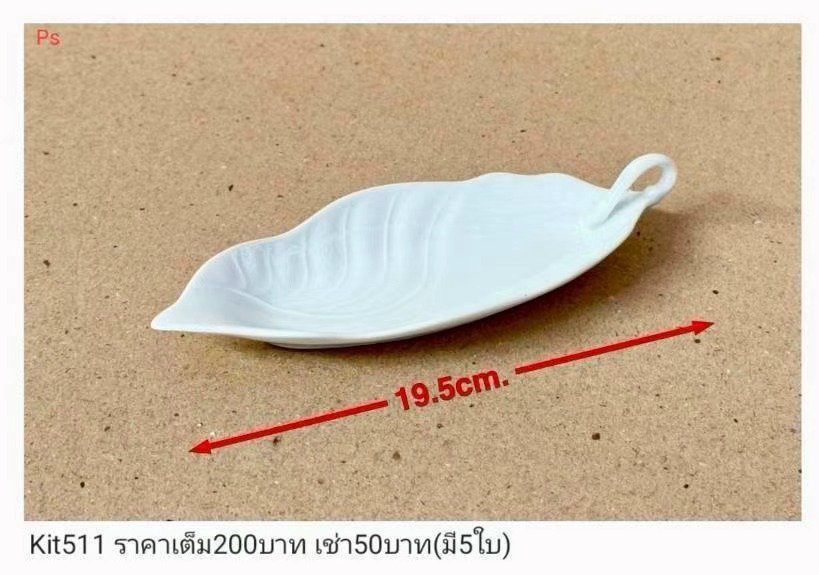 树叶形盘子