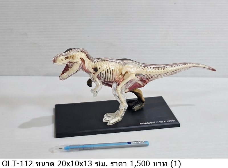 恐龙骨架模型