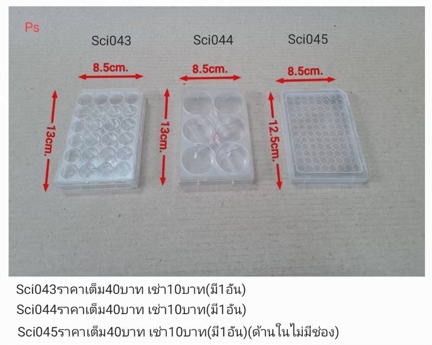 科学实验板