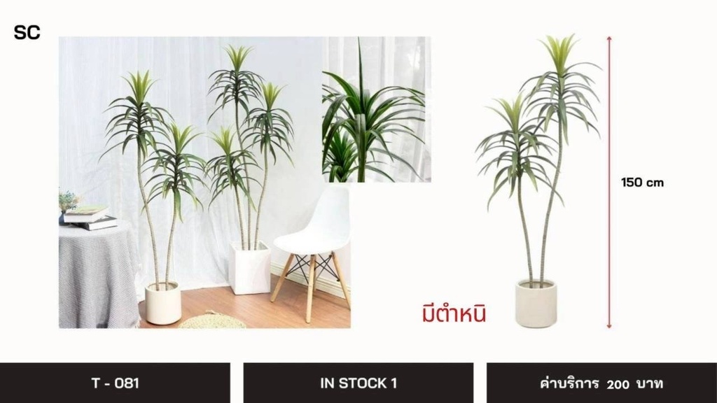 仿真植物
