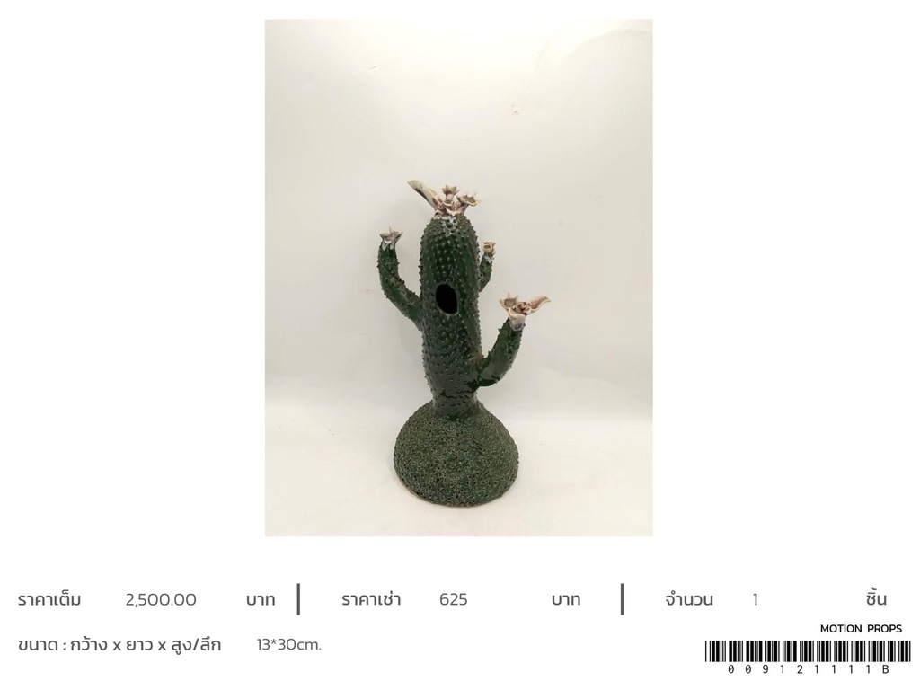仙人掌花瓶