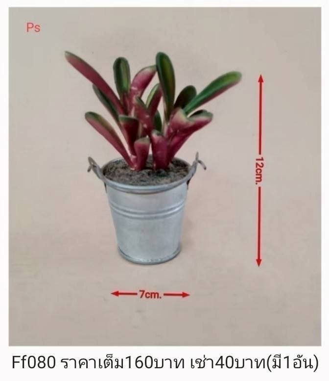 仿真植物