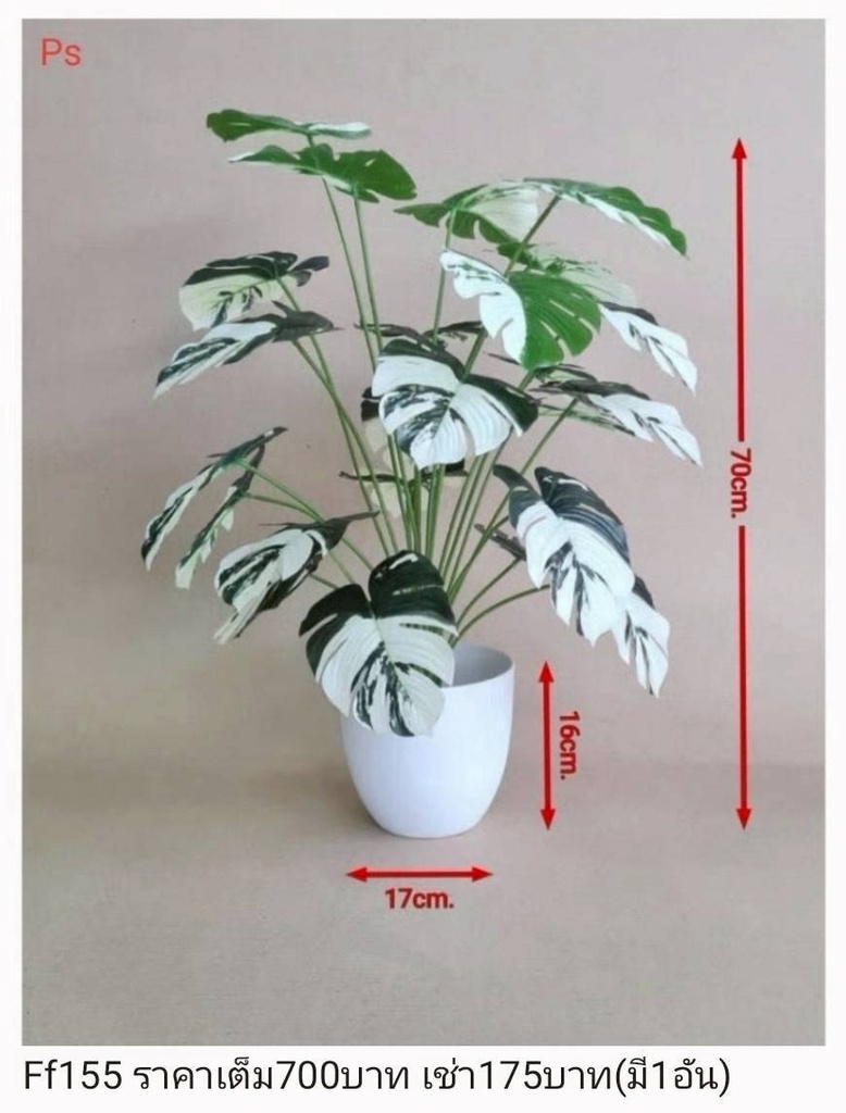仿真植物